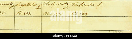 . L'HuÌbner geometra [ressource électronique]. Lépidoptères. ^fluUa 2,42,.. Sp3. J'izroztiL. 2&lt;j4. &Lt;J*wn/MraÂ£&lt;z . 2g5^Xupttzfa. c . 3&Lt ; ;&amp ; ( %t/ifcafii. 2Gy. ^u/vtzta . ST. Â f&amp;sszrsts^ ^^^^ ; â ¢/^^^y^^"^^^^000 ls/^^ ? s c9 :/ â / ?â. Veuillez noter que ces images sont extraites de la page numérisée des images qui peuvent avoir été retouchées numériquement pour plus de lisibilité - coloration et l'aspect de ces illustrations ne peut pas parfaitement ressembler à l'œuvre originale.. HuÌbner, Jacob, 1761-1826. [S. l.  : S. n. ] Banque D'Images