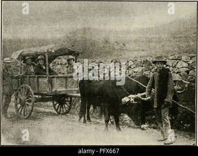 . Journal des anciens de l'C.U.C.P.. L'Université de Columbia. Collège de pharmacie, pharmacologie. 28 C. U. C. P., février 1918, revue des anciens de la place du marché et il est l'esclave de ses habitudes. Il aurait préféré y aller et de s'engager dans son habituel de troc obtenir un plus grand : en abandonnant son voyage. Très souvent le voyageur qui rides sera accompagné d'un serviteur sur pied qui porte un petit tronc ou une valise, pesant jusqu'à soixante ou soixante-dix livres. Les expériences de l'étranger qui traverse ces déserts ou des sentiers de montagne à cheval ou mule, est variée et intéressante, mais elle est habituellement très- redevance pour Banque D'Images