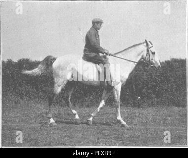 Ce traité couvre la conformation, les mouvements et l'évolution des chevaux, explorant diverses races et leur développement historique. Il fournit un aperçu de la structure physique et des caractéristiques qui définissent les chevaux. Banque D'Images