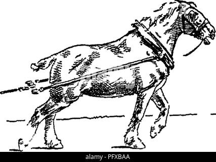 . Points du cheval ; un traité sur la conformation, les mouvements, les races et l'évolution du cheval. Les chevaux. Fia 93. Fig 94. Fig. 95. Courte marche pas dans DIl^ught. Veuillez noter que ces images sont extraites de la page numérisée des images qui peuvent avoir été retouchées numériquement pour plus de lisibilité - coloration et l'aspect de ces illustrations ne peut pas parfaitement ressembler à l'œuvre originale.. Hayes, M. Horace Horace (Matthieu), 1842-1904. Londres, W. Thacker &AMP ; co Banque D'Images