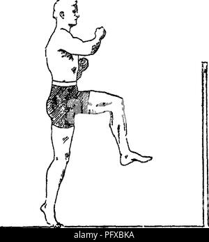 Ce traité de M. Horace Hayes couvre la conformation, les mouvements, les races et l'histoire évolutive du cheval. Il explore divers aspects de l'anatomie et du comportement des chevaux, fournissant un aperçu précieux de la biologie équine et du développement des races de chevaux à travers l'histoire. Banque D'Images