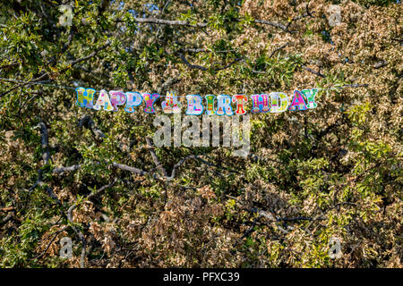 Détail d'un message joyeux anniversaire s'étire à travers les branches d'un arbre de chêne tombée, les restes d'un anniversaire à Brockwell Park, le 6 août 2018, à Londres, en Angleterre. Banque D'Images