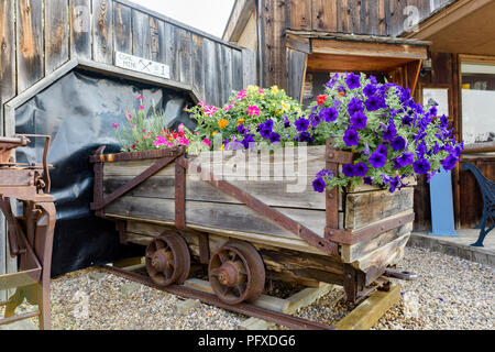 Mine de charbon à fowers jardin panier rail, Big Valley, en Alberta, Canada. Banque D'Images