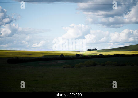 Un pool de lumière mettant en évidence un champ de canola dans un paisible paysage de colline, les terres agricoles Banque D'Images