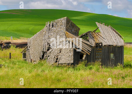 Vieux bâtiment s'effondrer dans les champs agricoles de la Palouse à Washington Banque D'Images