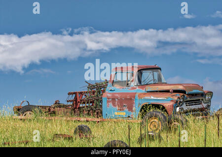Old rusty camion abandonné dans les mauvaises herbes au Washington Pullman Banque D'Images