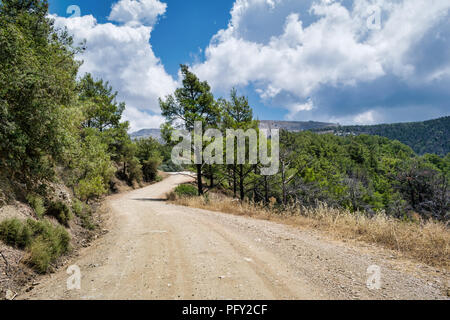 Il s'agit d'une photo d'une route forestière sur l'île grecque de Rhodes Banque D'Images