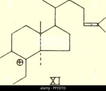 . Les courants dans la recherche biochimique, 1956 ; vingt-sept essais tracer la voie actuelle de la recherche biochimique et compte tenu de la relation intime de biochimie à la médecine, la physiologie et la biologie. Biochimie -- la recherche.  + H®. Veuillez noter que ces images sont extraites de la page numérisée des images qui peuvent avoir été retouchées numériquement pour plus de lisibilité - coloration et l'aspect de ces illustrations ne peut pas parfaitement ressembler à l'œuvre originale.. Green, David Ezra, 1910-. New York, Interscience Publishers Banque D'Images