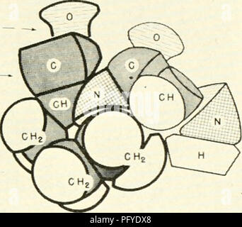 . Les courants dans la recherche biochimique, 1956 ; vingt-sept essais tracer la voie actuelle de la recherche biochimique et compte tenu de la relation intime de biochimie à la médecine, la physiologie et la biologie. Biochimie -- la recherche. . Veuillez noter que ces images sont extraites de la page numérisée des images qui peuvent avoir été retouchées numériquement pour plus de lisibilité - coloration et l'aspect de ces illustrations ne peut pas parfaitement ressembler à l'œuvre originale.. Green, David Ezra, 1910-. New York, Interscience Publishers Banque D'Images