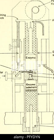 . Les courants dans la recherche biochimique, 1956 ; vingt-sept essais tracer la voie actuelle de la recherche biochimique et compte tenu de la relation intime de biochimie à la médecine, la physiologie et la biologie. Biochimie -- la recherche. Composés enzyme-substrat substrat substrat Bloc poussant seringue robinet pour remplir de substrat   seringue. Potentiomètre de vitesse de débit de conduite d'aération de la chambre de mélange syrings chambre d'observation de l'arrêt Arrêt seringue c ^ Fig. 6. Un appareil de mesure de la séquence temporelle de l'oxydation des composants de la chaîne respiratoire mitochondriale (24). Sinc Banque D'Images