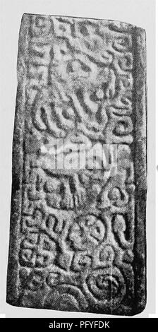 Ce travail historique sur le comté de Cumberland couvre un éventail de sujets, y compris l'histoire naturelle de la région et la flore locale. Le texte fournit un aperçu de la géologie et de l'environnement de la région, ainsi que des descriptions des plantes et de la faune locales. Banque D'Images