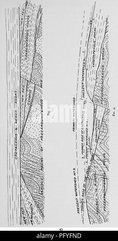 . L'histoire de Victoria du comté de Cumberland. L'histoire naturelle. . Veuillez noter que ces images sont extraites de la page numérisée des images qui peuvent avoir été retouchées numériquement pour plus de lisibilité - coloration et l'aspect de ces illustrations ne peut pas parfaitement ressembler à l'œuvre originale.. Wilson, James, Vicaire de Dalston. Westminster [A. Constable et Company, Limited] Banque D'Images