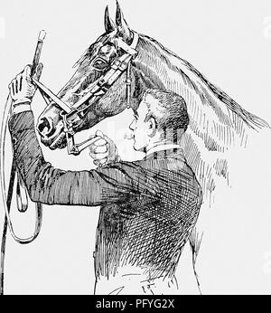 Ce travail sur l'équitation couvre les techniques de brisure et d'équitation, avec un accent sur les applications militaires. Le texte fournit des instructions détaillées sur la façon de manipuler les chevaux dans diverses situations, y compris l'utilisation des rênes et la gestion du comportement des chevaux dans différentes circonstances. Banque D'Images