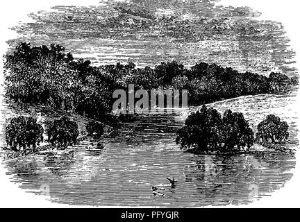 . Errances en Amérique du Sud, le nord-ouest des États-Unis et dans les Antilles, dans les années 1812, 1816, 1820, &AMP ; 1824 : avec instructions d'origine pour la parfaite conservation des oiseaux, etc. pour les cabinets d'histoire naturelle . Zoologie, la taxidermie. Biographie. 47 mais s'est lâchement ensemble. Graines d'arbres divers, en particulier ceux du platane, tombe dans l'eau, flottaient à sa surface, et ont été arrêtés par la banque, où ils ont pris racine. Ils n'ont jamais été aUowed à croître dans les arbres et étaient constamment coupés. Mais leurs racines entrelacées eux-mêmes parmi les pierres, et les lient ensemble Banque D'Images