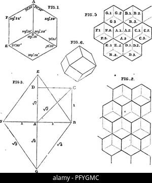 . Des maisons sans mains : être une description de l'habitat des animaux, classées en fonction de leur principe de construction . Les animaux. 450 Maisons SANS MAINS. angles. Edaumur, sur réception de la réponse, a conclu que l'Abeille avait de très près de résoudre le difficile problème de mathématiques, la différence entre la mesure et le calcul étant si petit qu'il est pratiquement rejetée dans la construction d'un objet si petit que l'abeille-cellule.. Les mathématiciens ont naturellement 'delighted avec le résultat de l'enquête, car il a montré comment admirablement science pratique pourrait être aide Banque D'Images