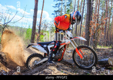 Promenade à vélo sportif dans la forêt. Banque D'Images