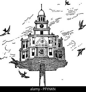 . Les oiseaux utiles et leur protection. Contenant de brèves descriptions des espèces plus communs et les plus utiles du Massachusetts, avec des comptes de leurs habitudes alimentaires, et un chapitre sur les moyens d'attirer et de protéger les oiseaux. Les oiseaux ; les oiseaux. 396 oiseaux utiles.. verre. J'ai donc souvent vu Chickade.es Bluebirds et nourrir leurs petits. Jusqu'à présent il a été mon intention de montrer comment on peut éviter des frais.dans la construction de nichoirs. Néan- moins, les maisons d'oiseaux d'ornement coûteux ajouter à l'attrayant- ness d'une maison de campagne, et peut s'afficher où les vieilles boîtes en fer et bon marché serait boîtes Banque D'Images