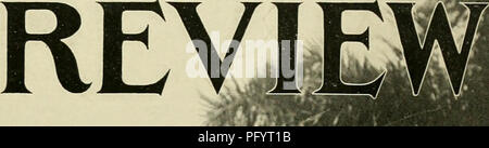 . L'examen de Cuba. La SCRL. W/. Veuillez noter que ces images sont extraites de la page numérisée des images qui peuvent avoir été retouchées numériquement pour plus de lisibilité - coloration et l'aspect de ces illustrations ne peut pas parfaitement ressembler à l'œuvre originale.. Munson Steamship Line. New York : Munson Steamship Line Banque D'Images