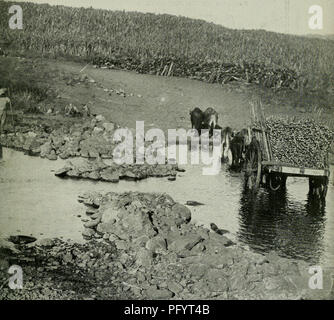 . L'examen de Cuba. CVBA EXAMEN. Veuillez noter que ces images sont extraites de la page numérisée des images qui peuvent avoir été retouchées numériquement pour plus de lisibilité - coloration et l'aspect de ces illustrations ne peut pas parfaitement ressembler à l'œuvre originale.. Munson Steamship Line. New York : Munson Steamship Line Banque D'Images