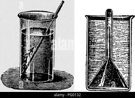 . Les leçons de botanique. La botanique. Comment les plantes tirent leur nourriture de carbone. 71 contenant ces tiges feuillues dans la lumière du soleil, dans un court laps de temps des bulles de gaz va passer très rapidement à partir de l'extrémité coupée de la tige. Dans la tige d'où les feuilles ont été coupées sont là autant de bulles ? Quelle est la raison ? Quelle partie de l'analyse arborée donne lieu à la plus grande partie du gaz ? 23 Démonstration. 131. Pour déterminer le type de gaz dégagé par les plantes vertes dans le soleil- lumière.-prendre une quantité oi les plantes de elodea et les placer dans un entonnoir inversé qui est immergé dans l'eau : le gaz w Banque D'Images