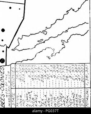 . L'apiculture ; une analyse de la vie de l'abeille et de la production de miel. Les abeilles ; le miel. 214 de l'apiculture. Veuillez noter que ces images sont extraites de la page numérisée des images qui peuvent avoir été retouchées numériquement pour plus de lisibilité - coloration et l'aspect de ces illustrations ne peut pas parfaitement ressembler à l'œuvre originale.. Phillips, Everett Franklin, 1878-1951. New York, The Macmillan Company, Londres, Macmillan & Co., Ltd ,. Banque D'Images