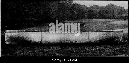 Ce récit détaille l'expédition Alexander-Gosling, qui a couvert la région du Niger au Nil. Il comprend des descriptions des espèces d'oiseaux rencontrées pendant le voyage. Banque D'Images