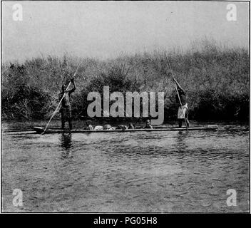 Ce récit documente le voyage de l'expédition Alexander-Gosling du Niger au Nil, en se concentrant sur la faune observée, en particulier les espèces d'oiseaux. Il décrit diverses rencontres avec des animaux tels que des roedBucks et des waterBucks, donnant un aperçu de la faune de la région. Banque D'Images