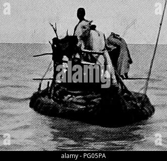 Un compte rendu de l'expédition Alexander-Gosling, détaillant les rencontres avec la faune locale, y compris les oiseaux de proie comme les faucons, ainsi que des observations du comportement des animaux indigènes lors d'une exploration du Niger au Nil. Banque D'Images