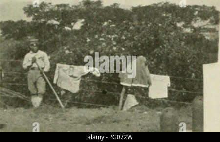 . L'examen de Cuba. . Veuillez noter que ces images sont extraites de la page numérisée des images qui peuvent avoir été retouchées numériquement pour plus de lisibilité - coloration et l'aspect de ces illustrations ne peut pas parfaitement ressembler à l'œuvre originale.. Munson Steamship Line. New York : Munson Steamship Line Banque D'Images