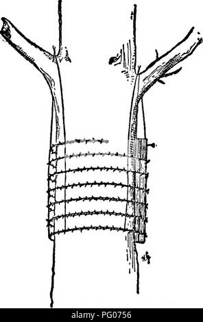 Ce travail traite de diverses méthodes pour attirer les oiseaux, y compris l'utilisation de maisons de nidification et de gardes-chats. Le guide se concentre sur la protection des oiseaux pendant les saisons de nidification, testant différentes techniques pour éloigner les prédateurs et attirer les oiseaux vers des environnements sécurisés. Banque D'Images