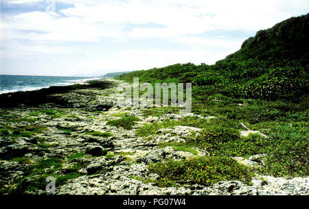 . Cuba : Siboney-Juticí. Histoire naturelle ; l'évaluation écologique (biologie) ; la conservation de la faune. . Veuillez noter que ces images sont extraites de la page numérisée des images qui peuvent avoir été retouchées numériquement pour plus de lisibilité - coloration et l'aspect de ces illustrations ne peut pas parfaitement ressembler à l'œuvre originale.. Fong G. , Ansel, Field Museum of Natural History. Les programmes de conservation et de l'environnement. Chicago, Illinois : Field Museum, de l'environnement et des programmes de conservation Banque D'Images