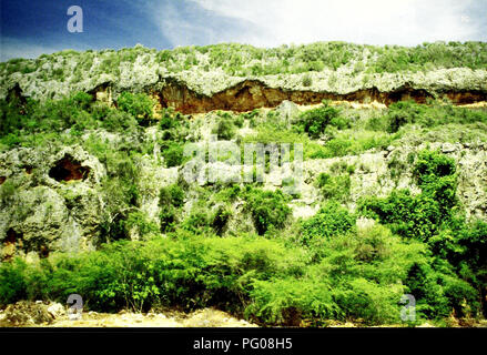 . Cuba : Siboney-Juticí. Histoire naturelle ; l'évaluation écologique (biologie) ; la conservation de la faune. . Veuillez noter que ces images sont extraites de la page numérisée des images qui peuvent avoir été retouchées numériquement pour plus de lisibilité - coloration et l'aspect de ces illustrations ne peut pas parfaitement ressembler à l'œuvre originale.. Fong G. , Ansel, Field Museum of Natural History. Les programmes de conservation et de l'environnement. Chicago, Illinois : Field Museum, de l'environnement et des programmes de conservation Banque D'Images