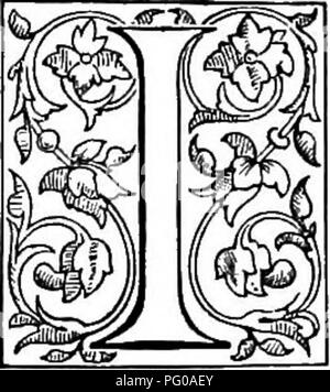 . Le livre de choix de fougères : pour le jardin, véranda, et cuisinière : décrire et donner des orientations culturelles explicites pour le meilleur et le plus frappant de fougères et selaginellas en culture. Illustrés par des plaques de couleur et de nombreuses gravures sur bois, préparés spécialement pour ce travail . Fougères ; Fougères. Chapitre IX. PLATYZOMA, Brown. (Plat-yz-o'-ma.). N Hooker et Baker's " Synopsis Filicum," Platyzoma, une division du sous-ordre des formes, Gleicheniacece genre 1. Son nom est dérivé de platys, large, et zoma, une bande, en allusion à l'anneau large du sporange. C'est un mono Banque D'Images