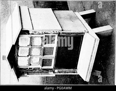 Cette image provient d'un guide sur l'apiculture pour les agriculteurs irlandais, mettant l'accent sur les techniques et les méthodes d'élevage des abeilles. Il fournit des instructions pour cultiver des colonies saines, gérer les ruches et extraire le miel. C'est une ressource éducative pour ceux qui s'intéressent à l'apiculture, avec un accent sur les meilleures pratiques pour l'apiculture en Irlande. Banque D'Images