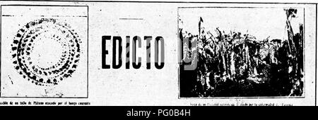 . La Commission de l'assainissement de l'usine et ses travaux. Les maladies des plantes ; les insectes nuisibles. N. Plaque" 2. TERmiMANTEMBNTE Queda prohibido llevar maUs de platanos manzano o Johnson de campo alguno iiifectado por la enfennedad llamada "Panama , llevara tampoco otra cualquiera plantes con tierra en las raices, nl tierra en ningnna forma de dicho campo infectado. No se permite la entrada de Mata de platano ningiina rariedades manzano y de las Johnson en la provincia, de Oriento procedente de alguna otra parte de la Repiiblica. Pas d'ae permite la importacion de matas de platanos sur esta Republica un pas de s Banque D'Images