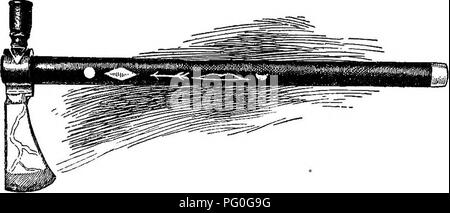 . Audubon et son journal. Les oiseaux ; 1897. AUDUBON 532 comme suit [omis]. Nous avons vu une oie avec un gosling, plusieurs Foulques, Grèbes, Hérons, colombes, pies, Rouge- avoir des pics, etc. sur un sable-bar Bell comptait dix loups se nourrissent d'une carcasse. Nous avons aussi vu trois jeunes whelps. Ce matin, nous avons vu un grand nombre de Mouettes à tête noire se nourrissent d'une carcasse de Buffalo avec quelques corbeaux ; les goélands se nourrissent probablement sur les vers, ou d'autres insectes sur la carcasse. Nous avons vu quatre élans, et d'un grand gang de buffles. Un loup a été vu traverser la rivière- vers notre bateau ; déclenché sur, il wheele Banque D'Images