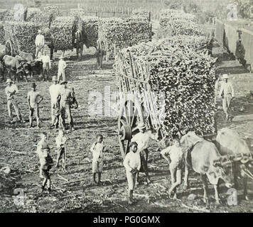 . L'examen de Cuba. L'examen. CVBA Veuillez noter que ces images sont extraites de la page numérisée des images qui peuvent avoir été retouchées numériquement pour plus de lisibilité - coloration et l'aspect de ces illustrations ne peut pas parfaitement ressembler à l'œuvre originale.. Munson Steamship Line. New York : Munson Steamship Line Banque D'Images