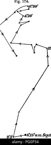 . La puissance de mouvement dans les plantes . Les plantes, la botanique. Chap. VNI. HELIOTBOPISM. Ff 427^.ra'C sans aucun doute, était due à son cirounmutating alors dans cette direction. Des cas similaires ont été constatés à plusieurs reprises, et une faible lumière rarement ou jamais produit de eflfect jusqu'à partir d'un quart à trois quarts d'heure s'était écoulée. Après 17 h 15, moment où la lumière était devenue obscure, l'hypocotyle a commencé à circumnutate sur le même endroit. Le contraste entre les deux chiffres (172 et 173) aurait été plus frappante, s'ils avaient été à l'origine . sur la même échelle, et avait été tout aussi réduit. Mais Banque D'Images
