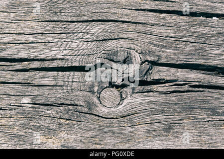 Berlin, Allemagne, August 06, 2018 : Portrait de Planche en Bois Banque D'Images