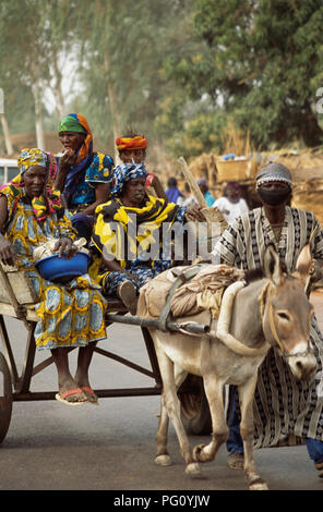 Transport de l'Âne Accueil Marché du dimanche de Somadougou, près de Mopti, au Mali pour un usage éditorial uniquement Banque D'Images