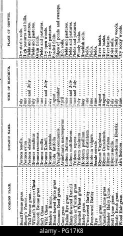 . Les herbes du Tennessee ; y compris les céréales et les plantes fourragères. Les plantes fourragères graminées ; ; le grain. 72 Les GRAMINÉES J â 6 &AMP ; 25.  ; Iillifl !â ip d BSOO w y ^ S o. Veuillez noter que ces images sont extraites de la page numérisée des images qui peuvent avoir été retouchées numériquement pour plus de lisibilité - coloration et l'aspect de ces illustrations ne peut pas parfaitement ressembler à l'œuvre originale.. Killebrew, J. B. (Joseph Buckner), 1831-1906. Nashville, l'American Co. Banque D'Images