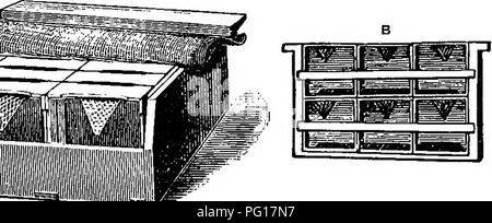 . Les abeilles pour le plaisir et profit ; un guide pour la manipulation des abeilles, la production de miel, et de la gestion générale du rucher. Les abeilles. 38 PLEASUKE GFGS FOK ET PROFIT. à travers sans difficulté. Les articles a travaillé dans les trames sont rarement aussi bien fini ou si blanc que ceux produits dans des caisses ; et donc c'est seulement dans les districts où peu de miel est d'être obtenu, ou en mauvaises saisons lorsqu'il est difficile d'obtenir les abeilles pour entrer supers, qu'il est conseillé de les utiliser. Certains apiculteurs donnent les abeilles a. C'Kill'IS/l. Veuillez noter que ces images sont extraites de la page numérisée des images qui peuvent avoir être Banque D'Images