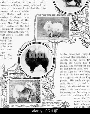 Ce livre offre un aperçu complet des races de chiens britanniques et de leurs parents internationaux, y compris des chapitres sur l'histoire, les pratiques d'élevage, la gestion du chenil et les soins vétérinaires. Il met en évidence la popularité croissante de ces chiens en Angleterre, détaillant leur attrait en raison de leur apparence, de leur activité et de leur fidélité. Banque D'Images