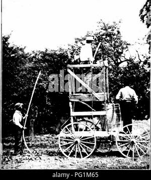 Ce guide fournit des renseignements détaillés sur la reconnaissance et la lutte contre les insectes nuisibles qui endommagent les plantes et les cultures. Il couvre une gamme d'espèces de ravageurs, offrant des conseils pratiques sur l'utilisation de pompes à main et d'autres outils pour une gestion efficace des ravageurs dans le jardin. Banque D'Images