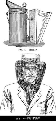 . De l'apiculture dans le Maryland. Les abeilles. 244 MARYLAND Agricultural Experiment Station. a l'avant et l'arrière de la ruche ont été trouvés efficace. Une ruche bon marché peut être sécurisé par tailler des bâtonnets de bois rond sur un ou deux côtés, et de les utiliser de la même manière que la tuile. Outils et autres appareils. Parmi les nécessités de tout le rucher, grandes ou petites, sont un bon fumeur (fig. 7.) pour soumettre les abeilles, et un voile, (fig. 8.), de certains matériaux légers pour protéger le visage. Une sorte d'outil pour la séparation de corps. Fig. 8.-voile. et cadres, et de racler la propolis et les bits de cire des ruches et d'installation Banque D'Images