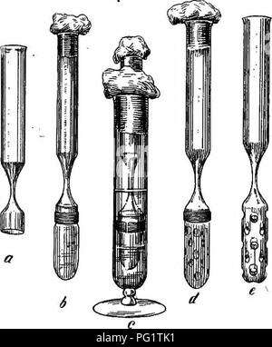 . Le travail en laboratoire de bactériologie. La bactériologie. COLIiODIUM SACS. 499 un test-tube et c'est glissé à l'intérieur du sac. La première ouverture doit être faite dans le bas de l'un tube à essai. Une petite flamme étroit est dirigée contre le bas, et, quand le verre s'est ramolli, il est tpuched avec un morceau de verre des tubes-qui est ensuite avec- tiré. Le verre adhère et est sorti dans une fine capillaire. C'est alors cassé à environ 0,5 cm. d'un tube à essai par un léger tapotement avec le tube de verre. La flamme de l'explosion-lampe est ensuite dirigé contre l'ouverture d'un,donc fait. Les broken edge Banque D'Images