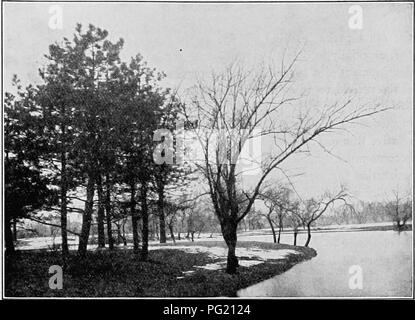 . Un manuel de botanique pour les collèges et universités ... La botanique. Fig. 843. - Un paysage d'hiver, montrant le contraste entre feuillus et conifères ; the evergreens sont le pin noir d'Autriche (Pinus laricio) ; les arbres à feuilles caduques sont les saules (Salix alba) et l'érable argenté (Acer saccharinum) les pins sont excurrente, tandis que les autres arbres sont ; Chicago, deliquescents, 111 - Photo par Fuller.. Veuillez noter que ces images sont extraites de la page numérisée des images qui peuvent avoir été retouchées numériquement pour plus de lisibilité - coloration et l'aspect de ces illustrations ne peut pas parfaitement ressembler à t Banque D'Images