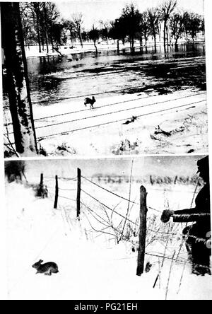 . La romance de everifarm . L'histoire naturelle. "Qui a dit que j'fould pas marcher sur deux pieds ?" â¢â je devrais dire je sais ce qu'est la neige", a déclaré Peter Rabbit.. Veuillez noter que ces images sont extraites de la page numérisée des images qui peuvent avoir été retouchées numériquement pour plus de lisibilité - coloration et l'aspect de ces illustrations ne peut pas parfaitement ressembler à l'œuvre originale.. Bougeoir, Harvey J. New York : Macmillan Banque D'Images