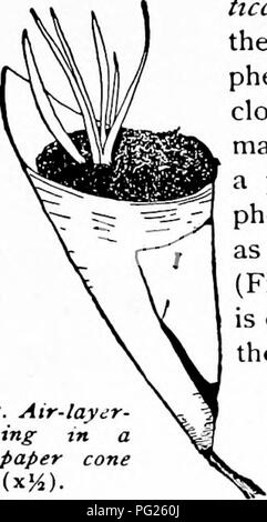 . La pépinière-livre : un guide complet de la multiplication de végétaux . La propagation de la plante. La déstratification de l'air. 41. Veuillez noter que ces images sont extraites de la page numérisée des images qui peuvent avoir été retouchées numériquement pour plus de lisibilité - coloration et l'aspect de ces illustrations ne peut pas parfaitement ressembler à l'œuvre originale.. Bailey, L. H. (Liberty Hyde), 1858-1954. New York : Macmillan Banque D'Images