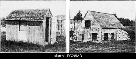 . Principes et pratiques de la culture de la volaille . La volaille. ViG. 38. Colony house pour winlcr les poulets, utilisé !)Y I. H. f'uriiss Xorwell, Vest, Mass., 39 fic. Cave buiU incubateur dans une banque centrale de Samuel sur l'Ouest, Xorwcil, Mass.. Veuillez noter que ces images sont extraites de la page numérisée des images qui peuvent avoir été retouchées numériquement pour plus de lisibilité - coloration et l'aspect de ces illustrations ne peut pas parfaitement ressembler à l'œuvre originale.. Robinson, John H. (John Henry), 1863-1935. Boston ; New York : Ginn et compagnie Banque D'Images